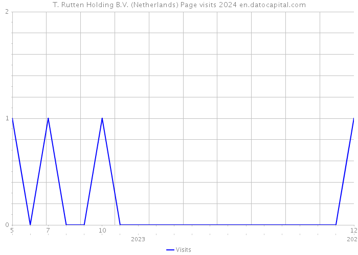 T. Rutten Holding B.V. (Netherlands) Page visits 2024 