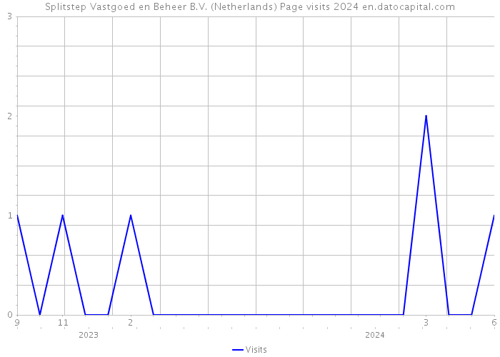 Splitstep Vastgoed en Beheer B.V. (Netherlands) Page visits 2024 