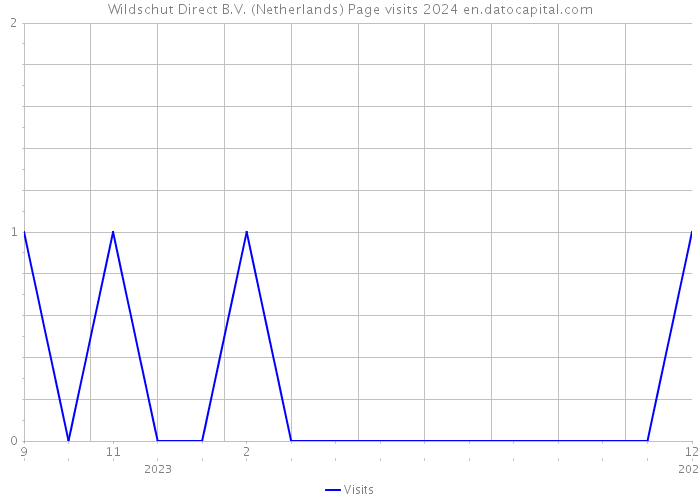 Wildschut Direct B.V. (Netherlands) Page visits 2024 