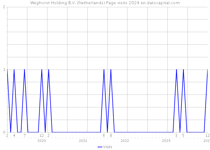 Weghorst Holding B.V. (Netherlands) Page visits 2024 