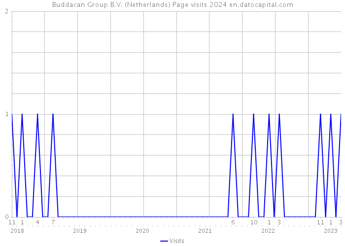 Buddacan Group B.V. (Netherlands) Page visits 2024 