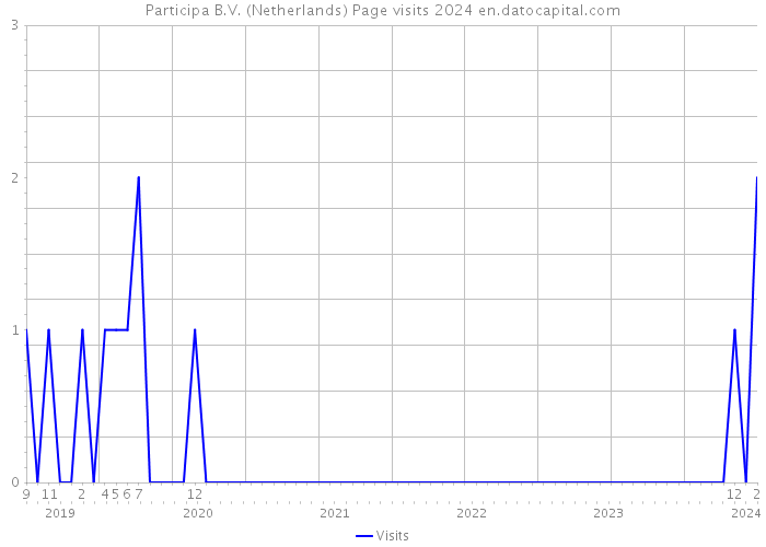 Participa B.V. (Netherlands) Page visits 2024 