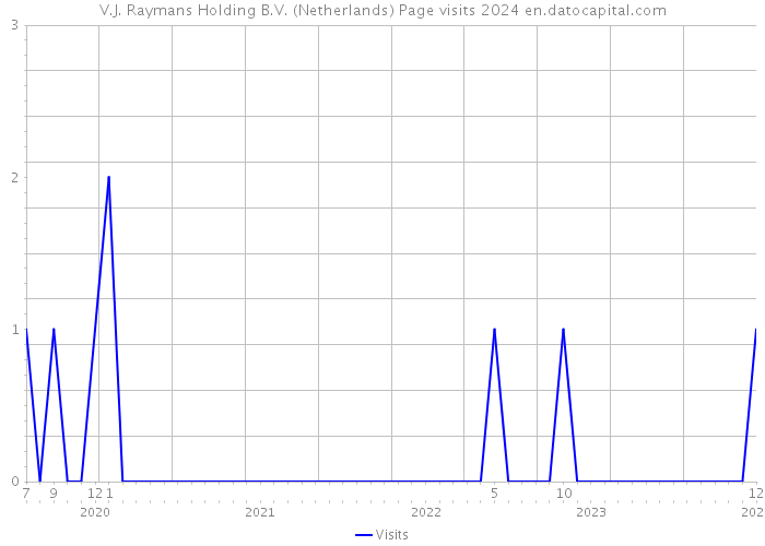 V.J. Raymans Holding B.V. (Netherlands) Page visits 2024 