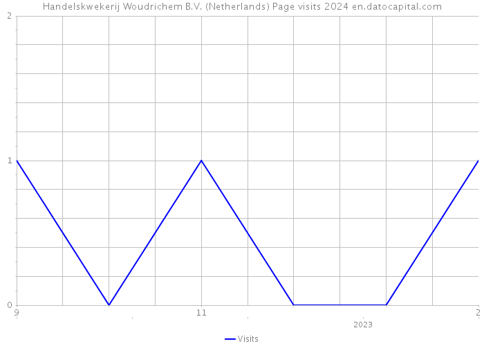 Handelskwekerij Woudrichem B.V. (Netherlands) Page visits 2024 
