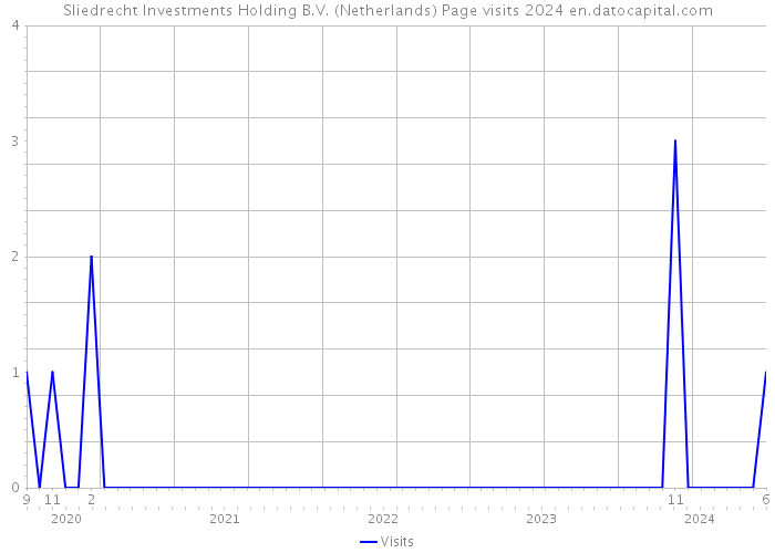 Sliedrecht Investments Holding B.V. (Netherlands) Page visits 2024 