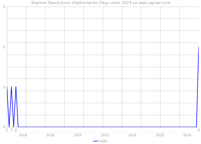 Stephen David Jones (Netherlands) Page visits 2024 