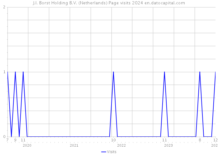 J.I. Borst Holding B.V. (Netherlands) Page visits 2024 