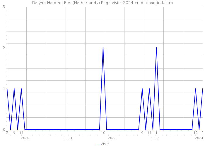 Delynn Holding B.V. (Netherlands) Page visits 2024 
