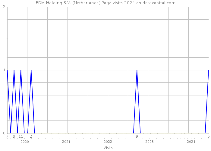 EDM Holding B.V. (Netherlands) Page visits 2024 