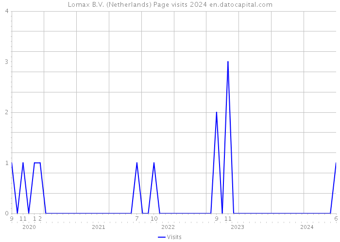 Lomax B.V. (Netherlands) Page visits 2024 
