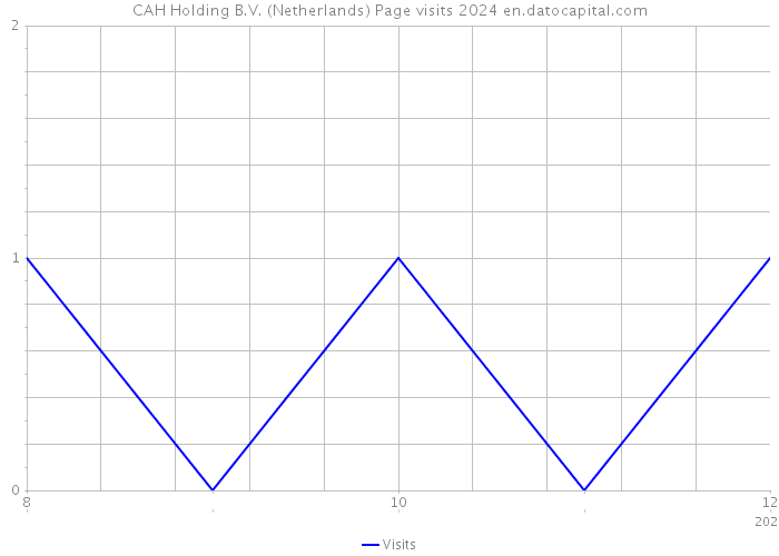 CAH Holding B.V. (Netherlands) Page visits 2024 