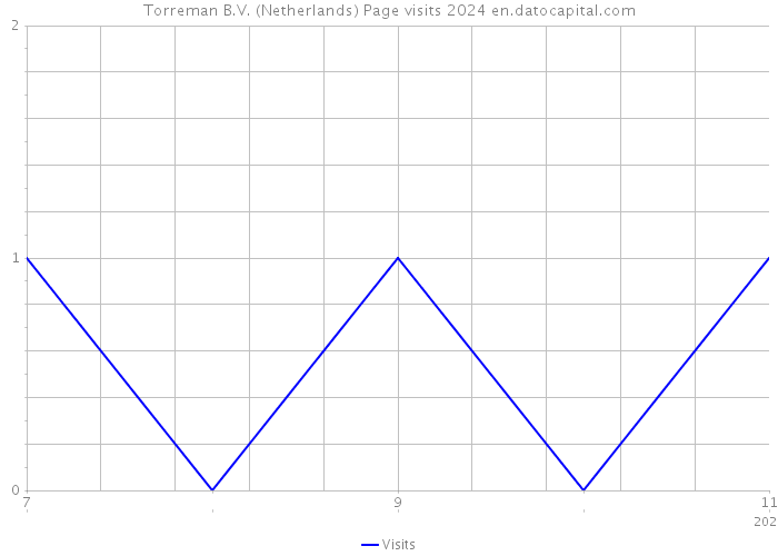 Torreman B.V. (Netherlands) Page visits 2024 