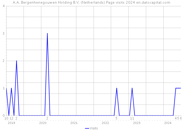 A.A. Bergenhenegouwen Holding B.V. (Netherlands) Page visits 2024 