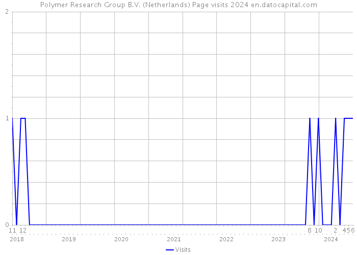 Polymer Research Group B.V. (Netherlands) Page visits 2024 