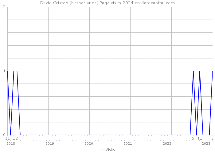 David Griston (Netherlands) Page visits 2024 