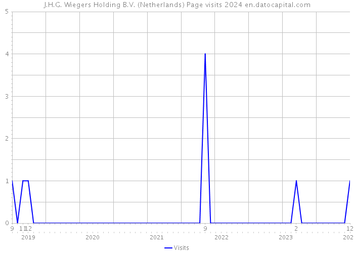 J.H.G. Wiegers Holding B.V. (Netherlands) Page visits 2024 