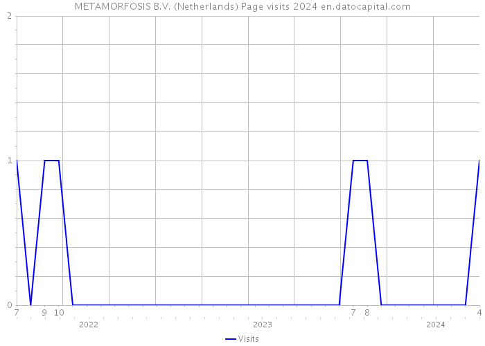 METAMORFOSIS B.V. (Netherlands) Page visits 2024 
