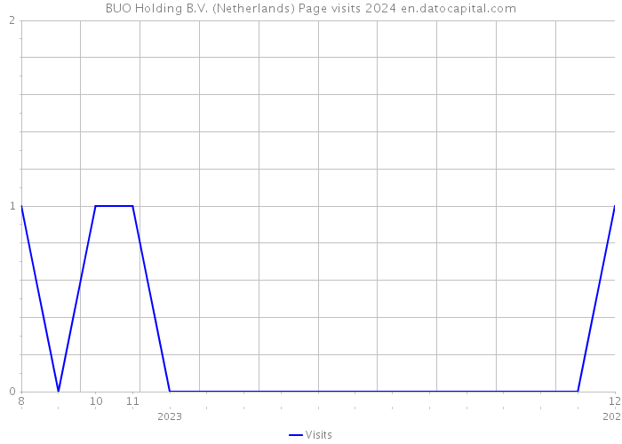 BUO Holding B.V. (Netherlands) Page visits 2024 