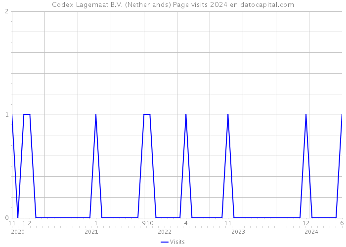 Codex Lagemaat B.V. (Netherlands) Page visits 2024 