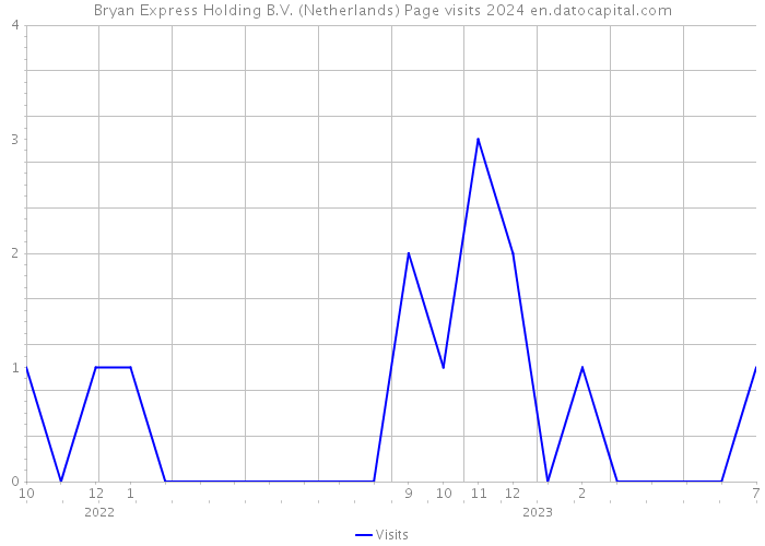 Bryan Express Holding B.V. (Netherlands) Page visits 2024 