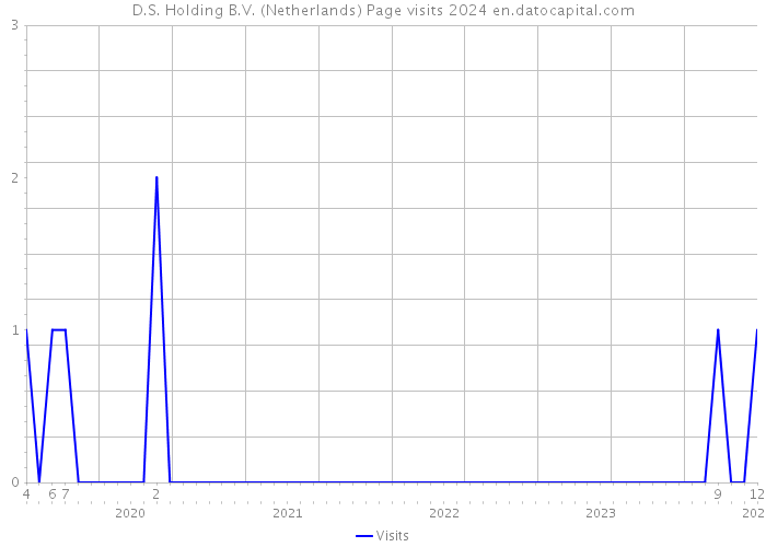 D.S. Holding B.V. (Netherlands) Page visits 2024 