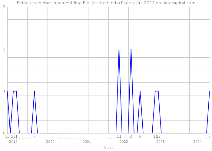 Reinout van Haeringen Holding B.V. (Netherlands) Page visits 2024 