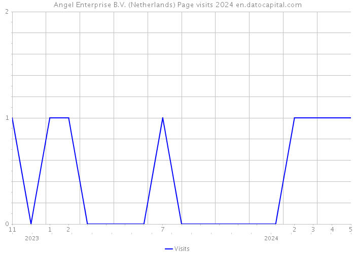 Angel Enterprise B.V. (Netherlands) Page visits 2024 
