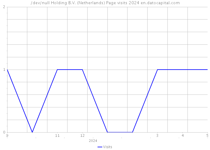 /dev/null Holding B.V. (Netherlands) Page visits 2024 