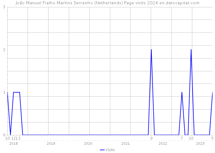 João Manuel Fialho Martins Serrenho (Netherlands) Page visits 2024 
