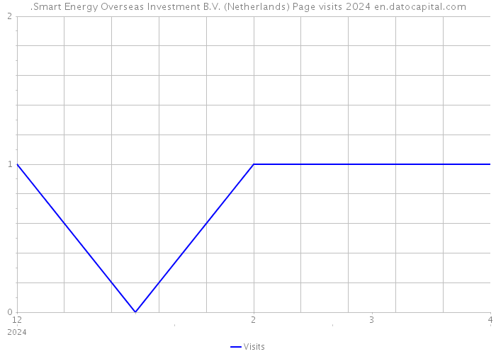 .Smart Energy Overseas Investment B.V. (Netherlands) Page visits 2024 