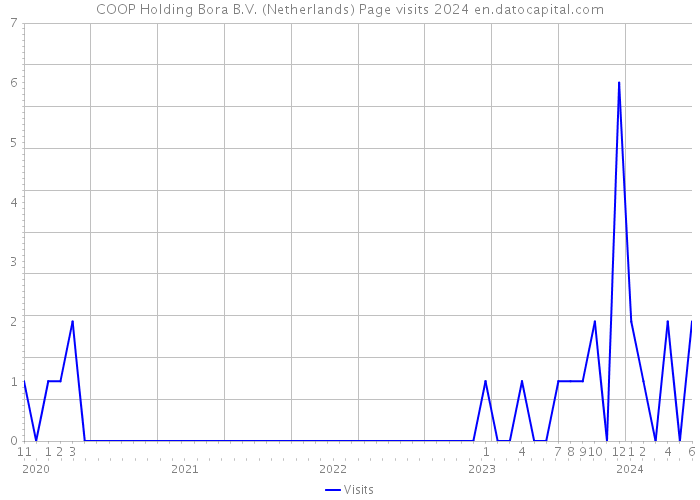COOP Holding Bora B.V. (Netherlands) Page visits 2024 