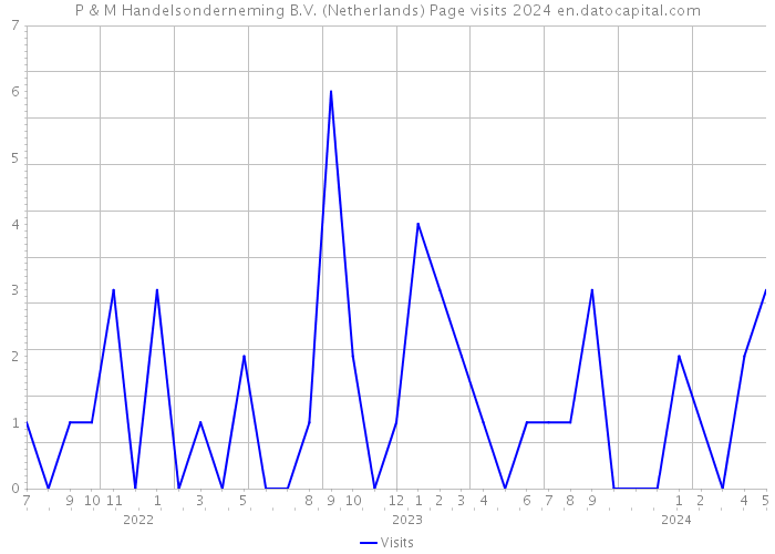 P & M Handelsonderneming B.V. (Netherlands) Page visits 2024 