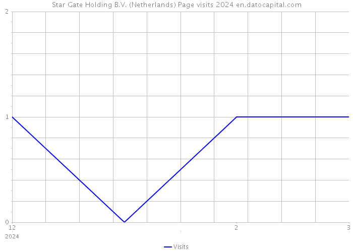 Star Gate Holding B.V. (Netherlands) Page visits 2024 