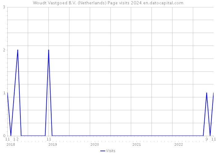Woudt Vastgoed B.V. (Netherlands) Page visits 2024 
