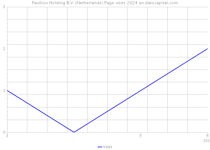 Pavilion Holding B.V. (Netherlands) Page visits 2024 