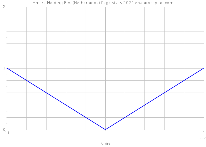 Amara Holding B.V. (Netherlands) Page visits 2024 
