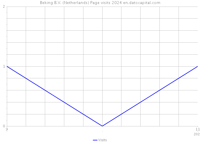 Beking B.V. (Netherlands) Page visits 2024 