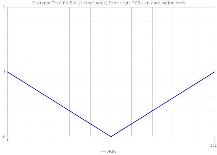 Castania Trading B.V. (Netherlands) Page visits 2024 
