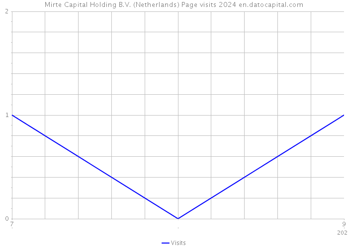 Mirte Capital Holding B.V. (Netherlands) Page visits 2024 