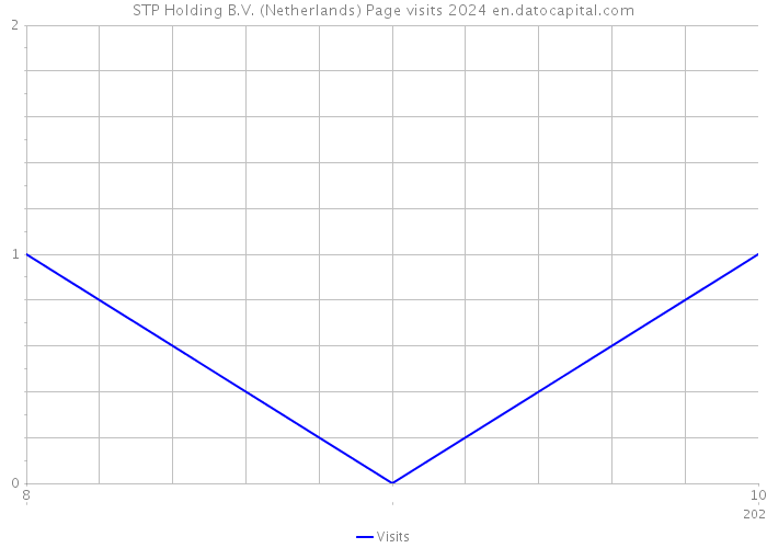 STP Holding B.V. (Netherlands) Page visits 2024 