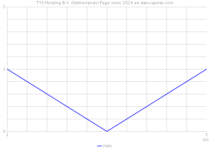 TYS Holding B.V. (Netherlands) Page visits 2024 
