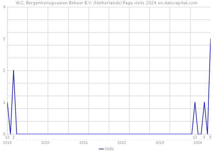 W.C. Bergenhenegouwen Beheer B.V. (Netherlands) Page visits 2024 