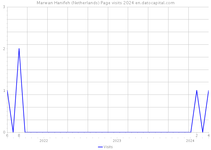 Marwan Hanifeh (Netherlands) Page visits 2024 