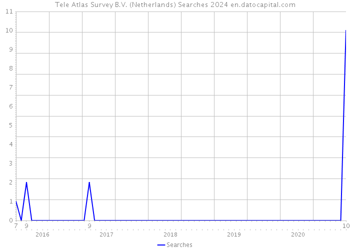 Tele Atlas Survey B.V. (Netherlands) Searches 2024 
