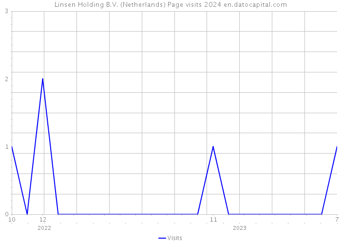 Linsen Holding B.V. (Netherlands) Page visits 2024 