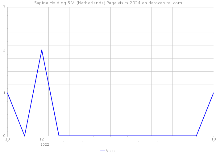 Sapina Holding B.V. (Netherlands) Page visits 2024 