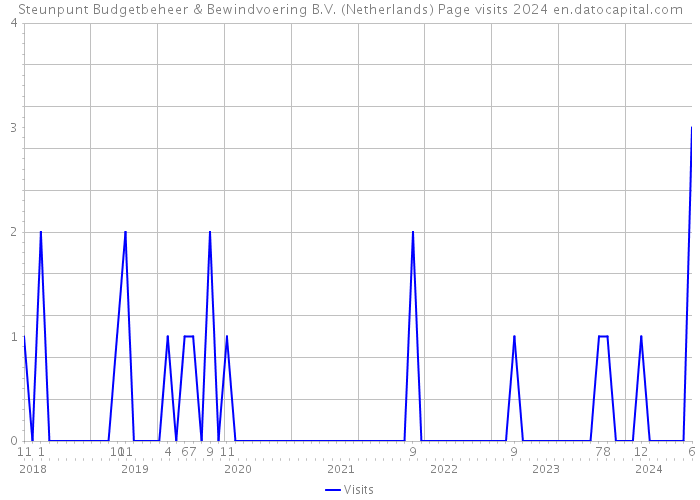 Steunpunt Budgetbeheer & Bewindvoering B.V. (Netherlands) Page visits 2024 