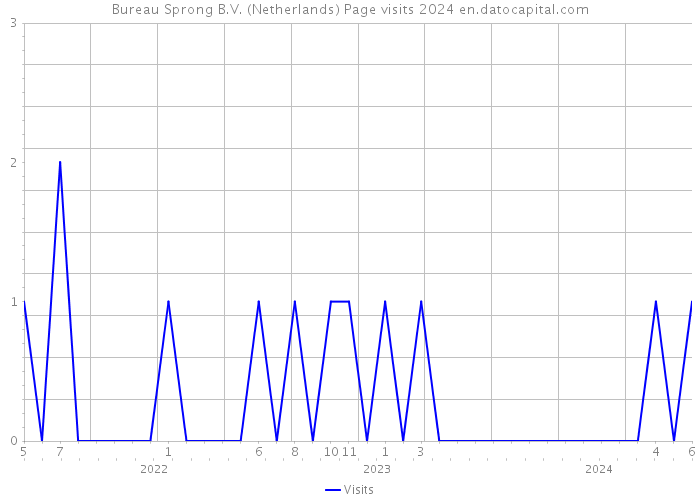 Bureau Sprong B.V. (Netherlands) Page visits 2024 