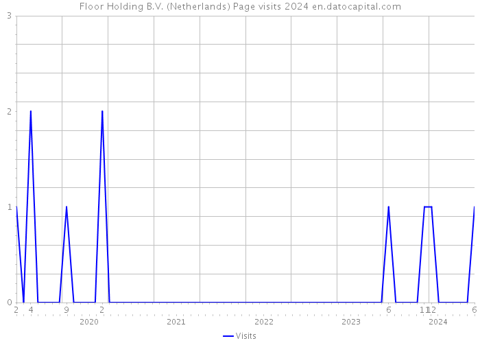 Floor Holding B.V. (Netherlands) Page visits 2024 
