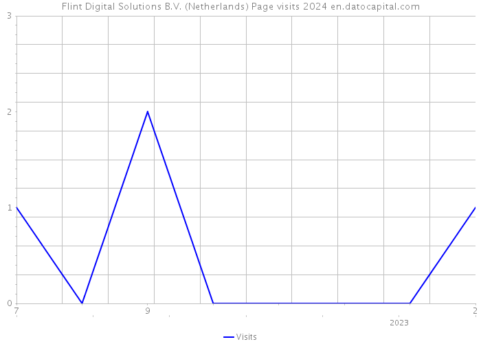 Flint Digital Solutions B.V. (Netherlands) Page visits 2024 